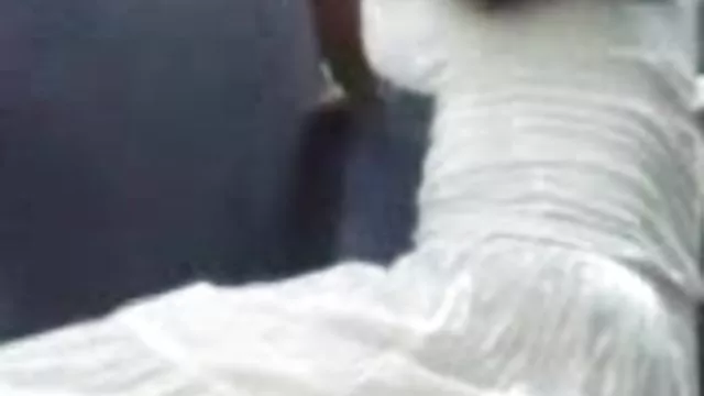 دعارة أي تسجيل النباتات افلام سكس اجنبية مترجمة بالعربية السامة